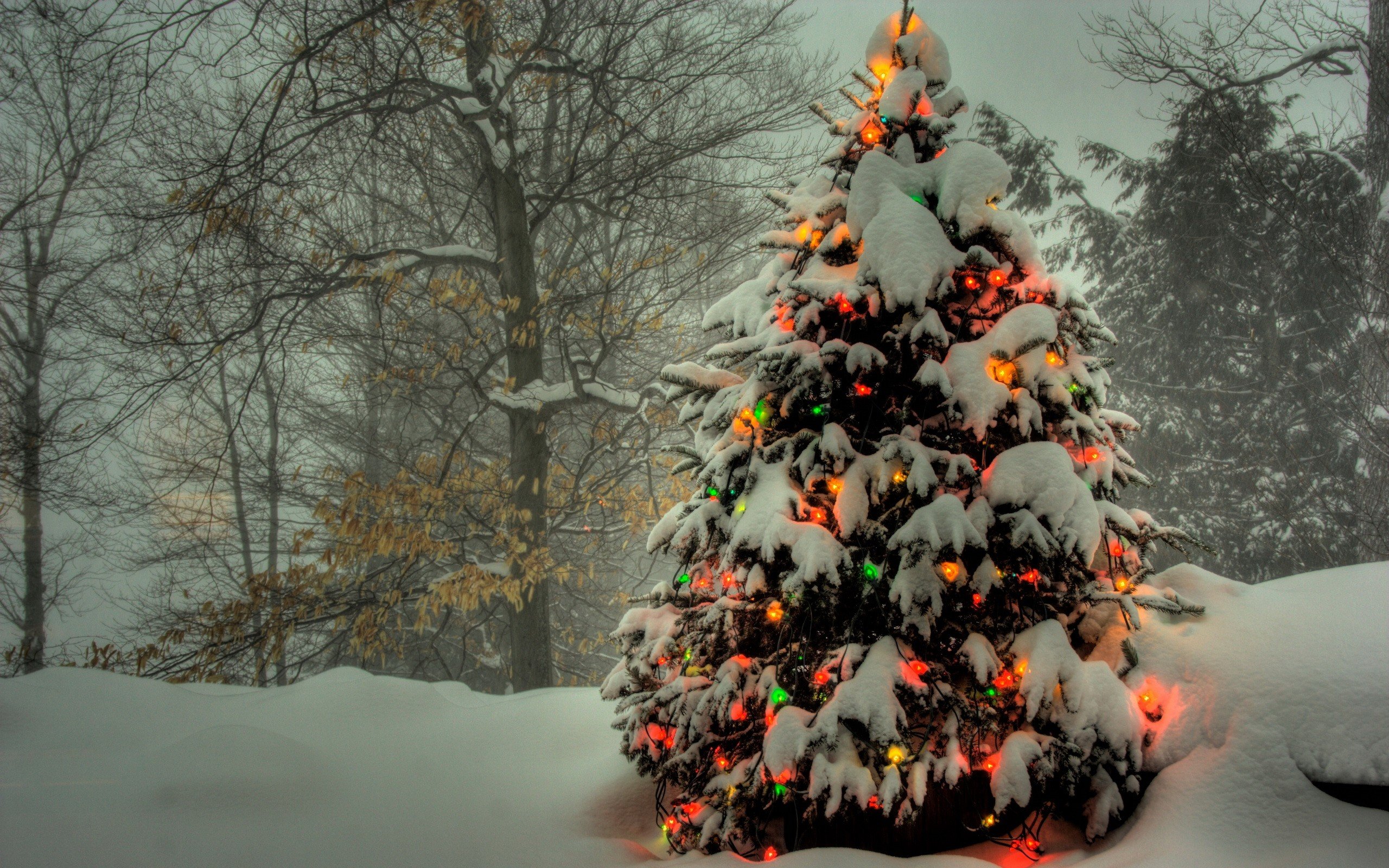 Christmas background ID:436141 for hd 2560×1600 computer